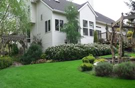 Charlottesville Area Lawn and Yard Care